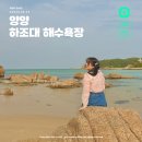 바위섬마트 | 강원도 양양 하조대 해수욕장 대여비용 및 캠핑