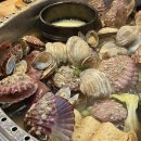 신탄진동로 23번길 | 대전 신탄진맛집 대포조개전골 후기 조개 듬뿍 전골 한상