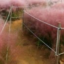 태양공원 이미지