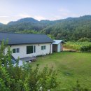 우아한 게으름 이미지