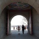 행운꽃방