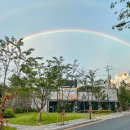 벚꽃로10길 이미지