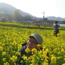 대해약국 이미지