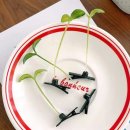 새싹유치원 이미지