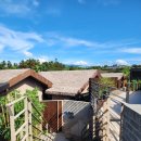 사누르 제주 이미지