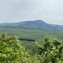 한라산둘레길 돌오름길 이미지