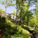 화이트하우스펜션 이미지