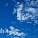 미래365연합의원 이미지