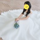 모닝플라워 - 영덕군 군청길 76-7 | 안산 웨딩촬영 부케 추천 | 신길동 꽃집 모닝플라워 생화부케 꽃다발 6종 후기