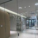 SNU반려동물검진센터 | 꼼꼼한 진료 친절한 상담 강아지고양이 검진전문 SNU 반려동물검진센터 방문후기