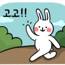 압구정샌드위치잠실 이미지