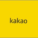 카카오피시(KAKAO PC) 티스토리
