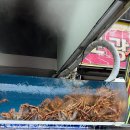 기장총각대게 | 기장 대게 맛집 추천｜기장총각대게 박달대게 포장 후기 (+서비스 대박)