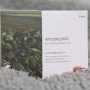 먹보흑돼지 | 핏펫 잇츄 강아지동결건조간식 제주산 흑돼지 시츄 급여후기