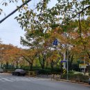 삼산동행정복지센터 화장실 이미지