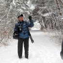 모아 카카오 검색결과