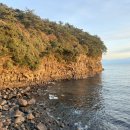 화끈한갈매기 이미지