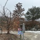 [캠린이 일기] 용인 단풍숲캠핑장 기린 3번 사이트 l 깨끗한 캠핑장 추천