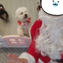 바둑이연구소 이미지