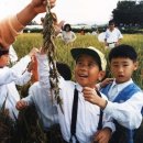 성본1리(최성미) 이미지