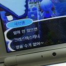 메이숑 | 정신 차리고 보니 정신 없어짐 🫩