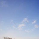 언덕위에하얀집 이미지