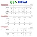 인투스 이미지