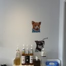케이다방 네이버블로그