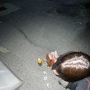 안미장리 이미지