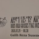 넥스트뮤지엄. 갈리 레자 수세노개인전 자연이 되돌아온 자리 When Wild Grasses Take Over 이미지