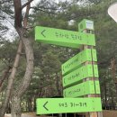 회동솔향캠핑장 이미지