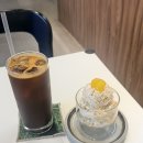 헤브어트리 | 숙대입구역 카페 밤푸딩이 맛있는 헤브어트리 후기🌰