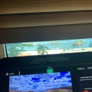 [코타키나발루 3박4일 여행] DAY2_아침운동부터 조식, 수리아사바, 올드타운화이트커피, 신키바쿠테, KK...