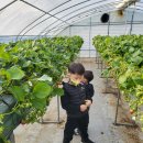 승민이 농장 이미지