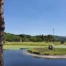 골프존파크 버디스크린 이미지