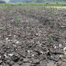 황정농장 이미지