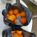 신의한수농장 이미지