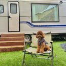 안성캠핑불멍 이미지