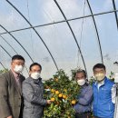 김종기농장 이미지