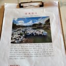 빌레뱅디