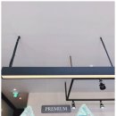 천안 강아지분양 고양이분양 파라다이스펫본점 이미지