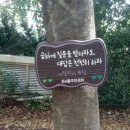 좌4동 주민센터 이미지