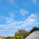 설향이야기 이미지