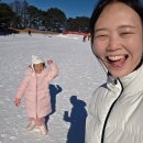 소노펠리체 비발디파크 이미지