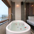 모닝하버 이미지