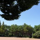 실바람 이미지