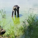 낙동강물환경연구소 이미지