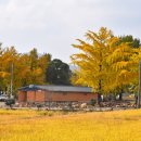 경섭목장 이미지