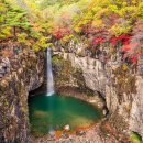 천안복지산악회 포천/국내최장Y자출렁다리 특별트레킹공지(9/29) 이미지