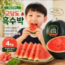 가락어린이집 | 가락시장 과일 도매 소매 수박 맛있는 곳! 애들이 반한 푸르츠데이 온라인주문 후기